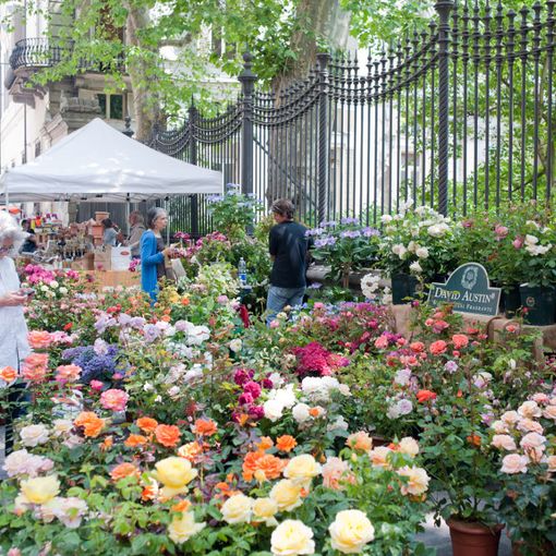 Flor, la mostra mercato che trasformerà il centro di Torino in un grande giardino