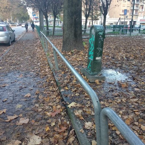 Giardini Notta ricoperti dalle foglie: richiesta una raccolta straordinaria