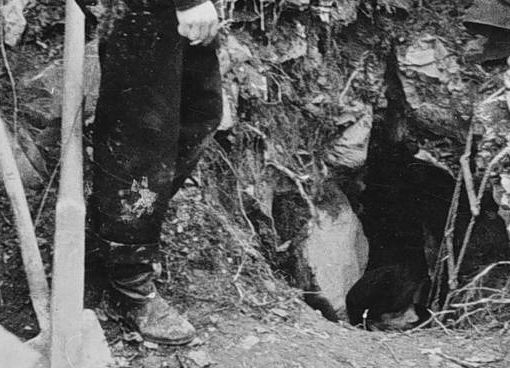 Giorno del Ricordo, ristampato dalla Regione opuscolo sulla storia delle foibe