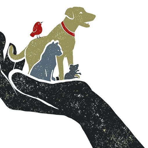 D'Istinti Animali e Fine Vita: Fondazione Fabretti a Torino Spiritualità