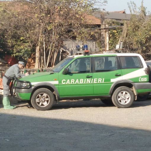 Controllo al noleggio cavalli della Pellerina: in arrivo le sanzioni per il proprietario
