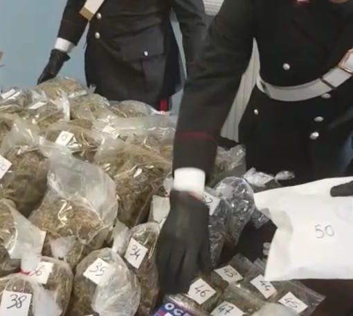 Cani e telecamere a proteggere la marijuana: carabinieri scoprono il &quot;fortino della droga&quot;
