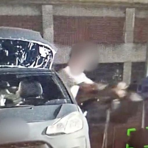 Incivili e 'furbetti dei rifiuti' inchiodati dalle fototrappole a Beinasco