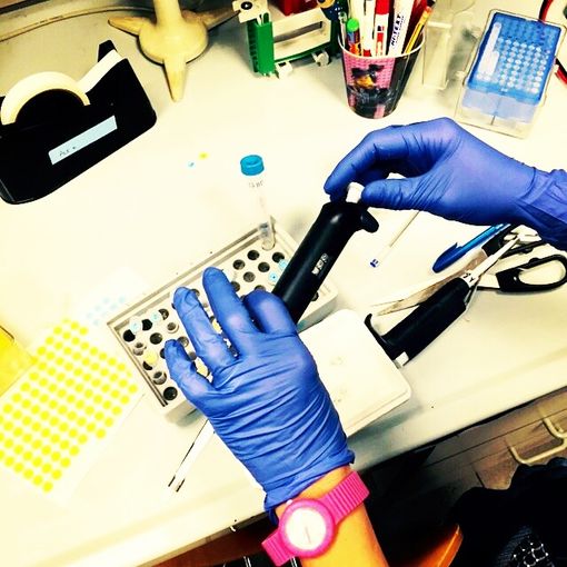 Buono e che fa bene: la Fiera del Peperone apre il suo cuore alla ricerca sul Cancro