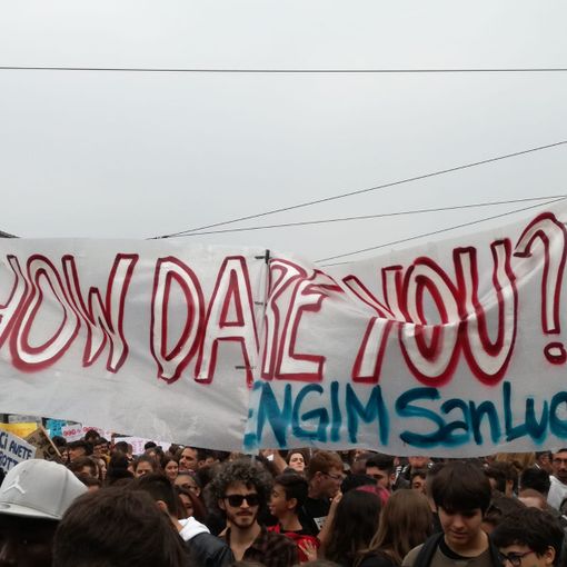 Fridays for future a Torino: ecco la (nostra) classifica degli slogan più divertenti letti alla manifestazione [FOTO e VIDEO]