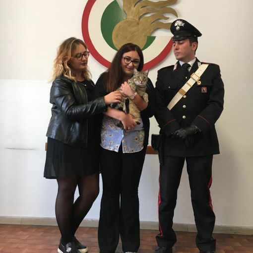 Torino, trova gatto e chiede un riscatto per restituirlo: arrestata
