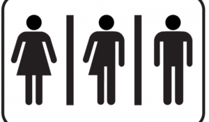 simboli gender neutro liceo alfieri
