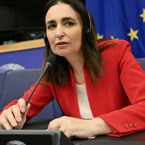 Gancia (Lega): &quot;Da settembre nella Sottocommissione del Parlamento Ue per le questioni fiscali, incarico che mi consentirà di aiutare il mondo produttivo&quot;