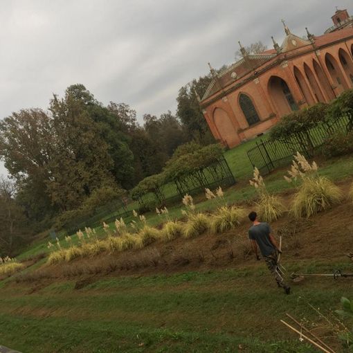 Grazie ai fondi Pnrr la Regione lancia un bando per quasi 100 giardinieri dei parchi storici del Piemonte