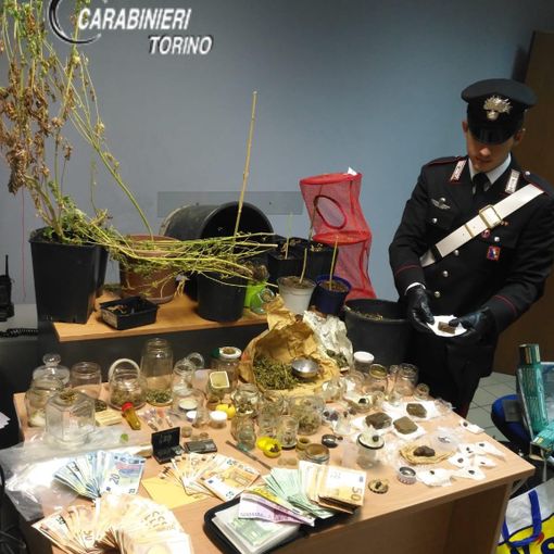La droga era &quot;bio&quot;, ma comunque illegale: il giardiniere pusher finisce in manette [VIDEO]