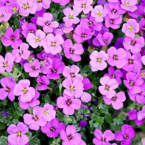 Vivere en plein air: sette consigli per arredare il giardino