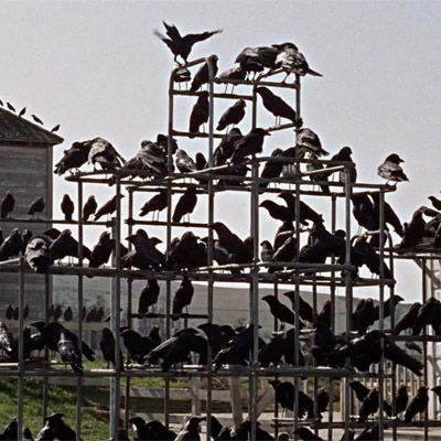 Gli eventi in programma al Museo del Cinema, al Cinema Massimo e alla Bibliomediateca di Torino