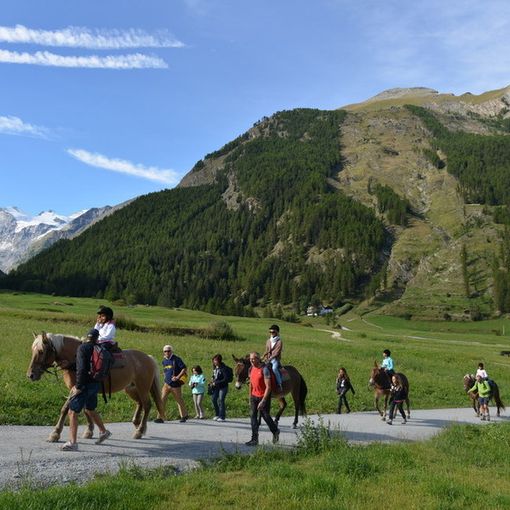 Parco Nazionale Gran Paradiso: al via a luglio &quot;A piedi tra le nuvole&quot;