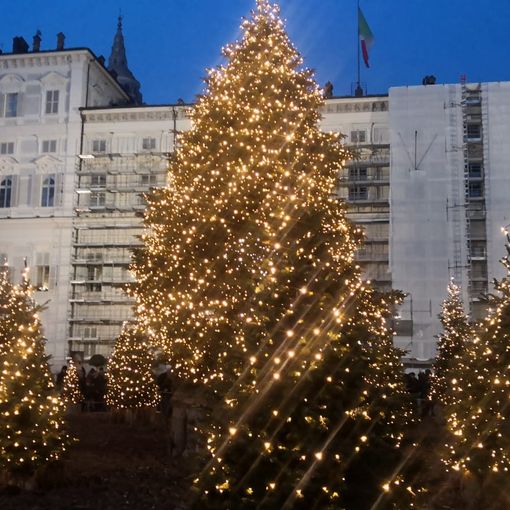 accensione albero natale