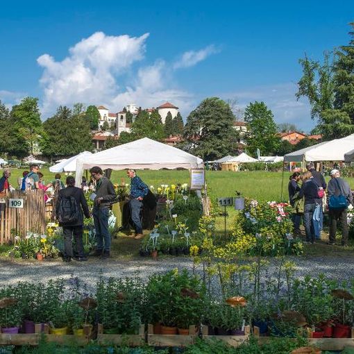 Tre Giorni per il Giardino: torna la mostra-mercato al Castello di Masino