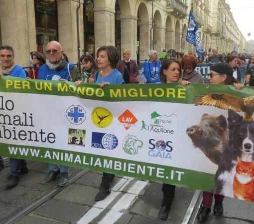 Riapertura Michelotti, Tavolo Animali e Ambiente: &quot;Accogliamo con gioia la notizia della riapertura&quot;