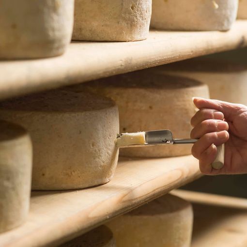 Nasce il progetto LoST EU: Looking for the Sustainability of Taste in Europe