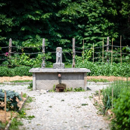 Al via la terza edizione di &quot;Bellezza tra le righe&quot; a Casa Lajolo e al Castello di Miradolo