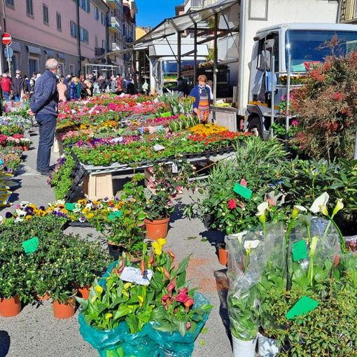 Rivoli celebra l'ambiente con la Giornata mondiale della Terra