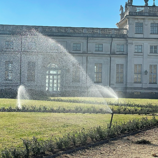 Palazzina di Caccia di Stupinigi: come votare il progetto per i parterres al Concorso Art Bonus 2024