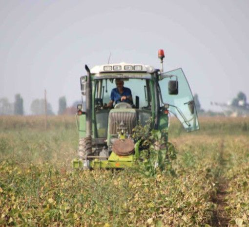 Aumento dell'inflazione, Coldiretti: &quot;I prezzi riconosciuti agli agricoltori devono andare oltre i costi di produzione&quot;
