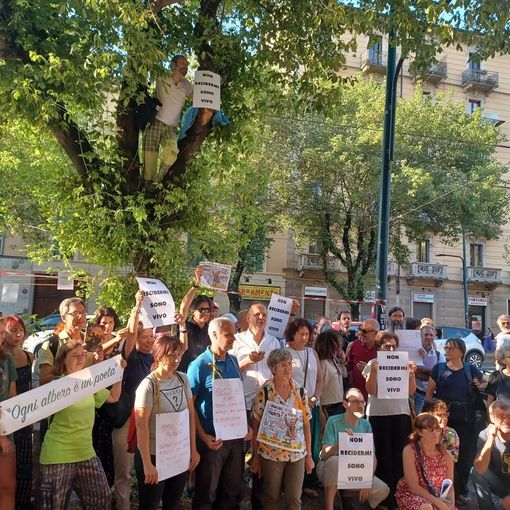 protesta di persone in strada
