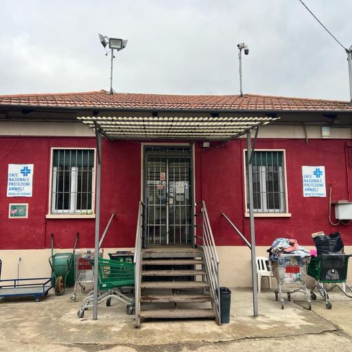 Canile di via Germagnano, l'Enpa rassicura: &quot;Cani e gatti sono al caldo&quot;