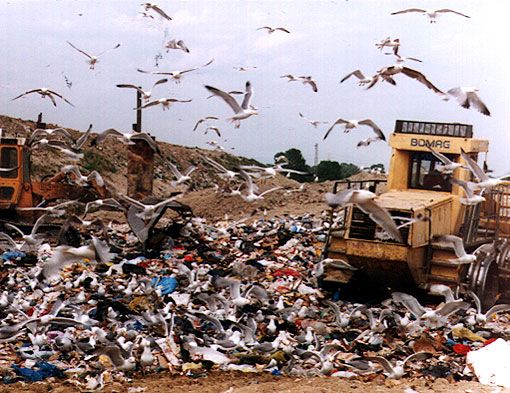 Discarica di Chivasso, ora il dissesto economico dei gestori preoccupa anche il sindaco