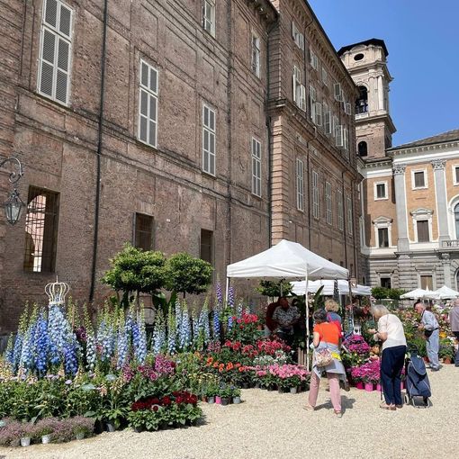 Fiori, profumi e colori ai Giardini Reali: partita l'edizione primaverile di FLOR22 [FOTO]