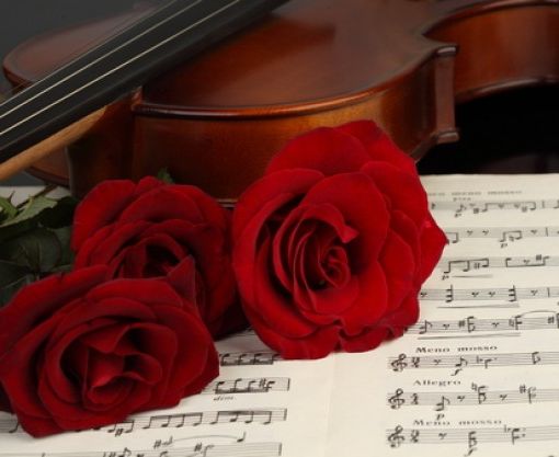 Classica a Pino: torna la rassegna musicale dell'associazione Mozart Torino