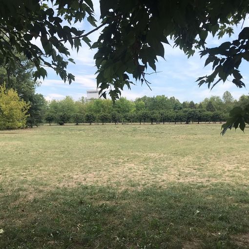 C’erano una volta i merenderos: griglie spente alla Pellerina, nei parchi relax e quiete a Ferragosto