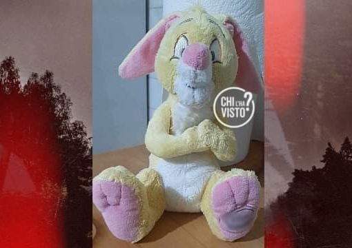 &quot;Qualcuno ha trovato questo peluche di mia figlia autistica?&quot; Appello di una mamma torinese a &quot;Chi l'ha visto?&quot;
