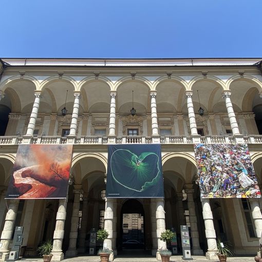 CinemAmbiente: apre la mostra &quot;The Environmental Photographer of the Year&quot;