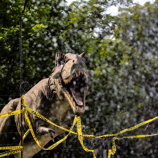 Il piazzale del Pala Vela come Jurassik Park: arriva la mostra Dinosaurs Live