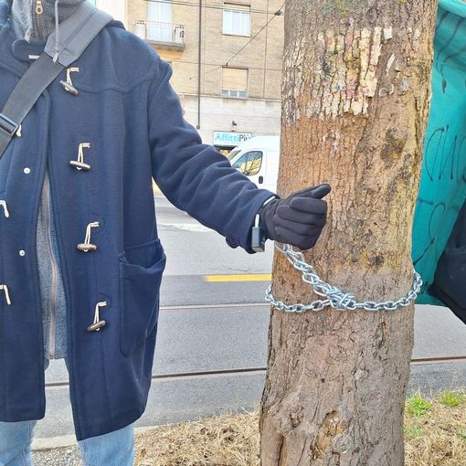 Tagli di alberi in Corso Belgio, tensioni tra polizia e manifestanti e c'è chi si incantena ai fusti [FOTO E VIDEO]