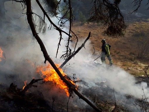 &quot;Chiediamo solo quello che ci spetta&quot;: a un anno dall'emergenza incendi, ancora non pagati gli straordinari ai Vigili del Fuoco