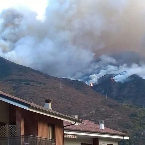 &quot;Brucio anch'io&quot;: una mostra a Torino a un anno dagli incendi nel Pinerolese e in ValSusa