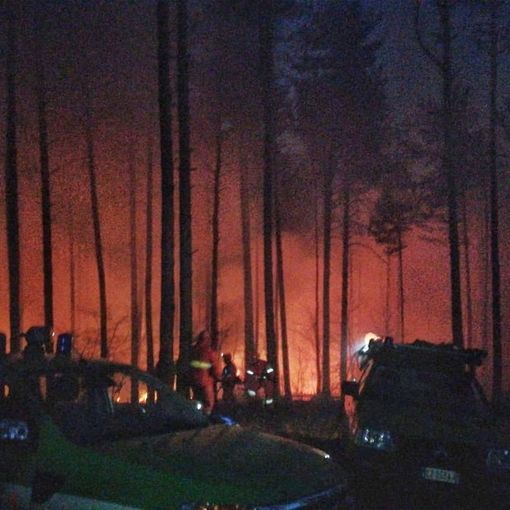 Incendio nei boschi di Almese, fiamme vicino alla frazione Rivera: vigili del fuoco sul posto