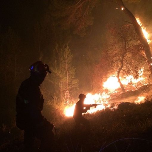Piemonte: approvata la nuova legge regionale di prevenzione ed estinzione degli incendi boschivi