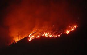 Caldo e assenza di piogge: da oggi su tutto il Piemonte è “massima pericolosità” per gli incendi boschivi