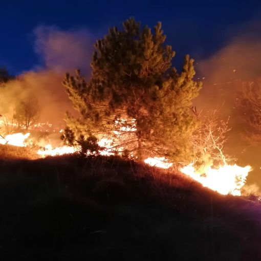 Val della Torre, dopo più di 16 ore di lavoro domato l'incendio del monte Musinè