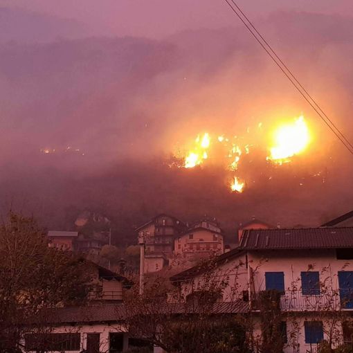 Fedagri Piemonte: &quot;Ogni metro quadro di bosco bruciato, costa circa 20mila euro alla collettività&quot;