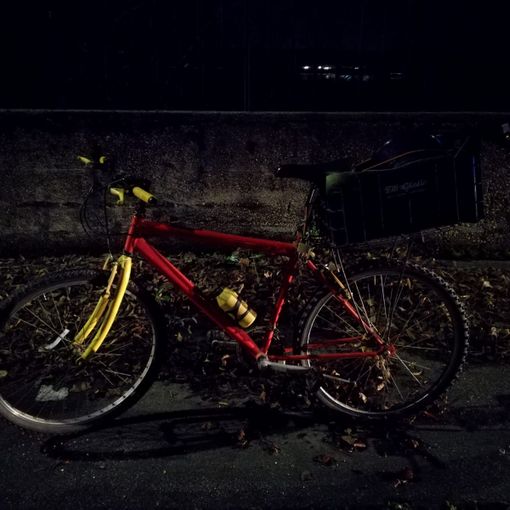 Rosta, scontro fra auto e bici nel parco del castello: bambino in ospedale
