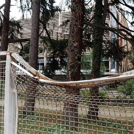 Il Palazzo del Lavoro vede un pezzetto di futuro: si comincia tagliando la jungla che lo circonda