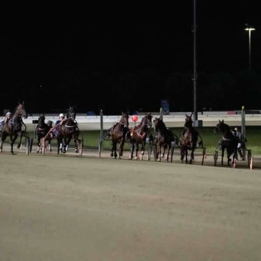 ippodromo di vinovo notte