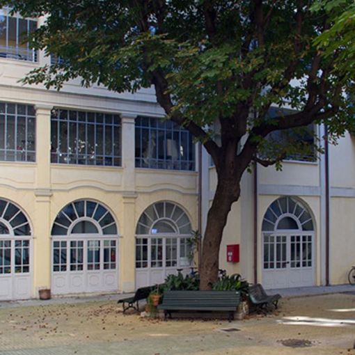 Istituto Alfieri Carrù