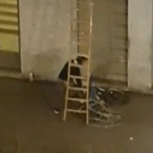 Scala e corda per rubare una bicicletta da 1000 euro: preso un ladro-acrobata