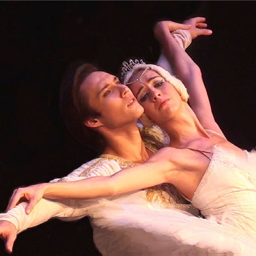 Danza, il &quot;Lago dei cigni&quot; in scena a Torino