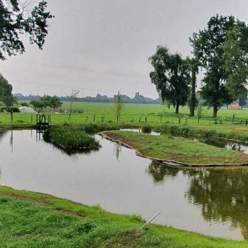 laghetto del parco di stupinigi