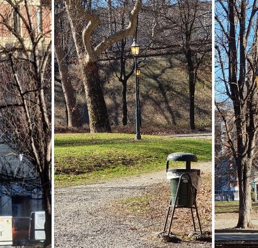 Caro-bollette, Iannò (Torino Bellissima): &quot;Ma ai Giardini Reali i lampioni sono accesi in pieno giorno&quot;